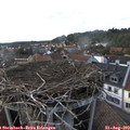 17_15-nest.jpg
