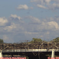 17_25-mast.jpg