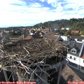 17_25-nest.jpg
