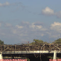 17_30-mast.jpg