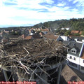 17_30-nest.jpg