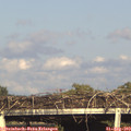 17_35-mast.jpg
