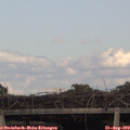 17_40-mast.jpg