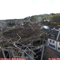 17_50-nest.jpg
