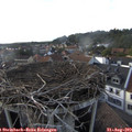 17_55-nest.jpg