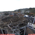 18_00-nest.jpg