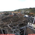 18_05-nest.jpg