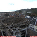 18_10-nest.jpg