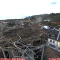 18_15-nest.jpg