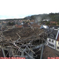 18_20-nest.jpg