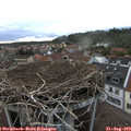 18_30-nest.jpg
