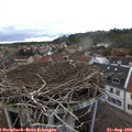 18_35-nest.jpg
