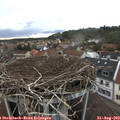 18_40-nest.jpg