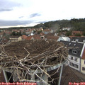 18_45-nest.jpg