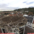 18_55-nest.jpg