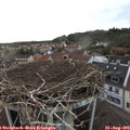 19_10-nest.jpg