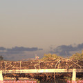 19_25-mast.jpg