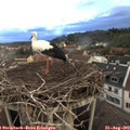 19_35-nest.jpg