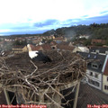 19_40-nest.jpg