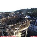 07_10-nest.jpg