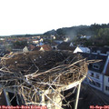 07_15-nest.jpg