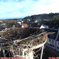 07_25-nest.jpg