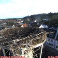 07_30-nest.jpg
