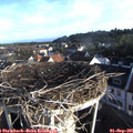 07_40-nest.jpg