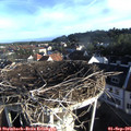 07_45-nest.jpg