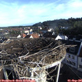 08_00-nest.jpg