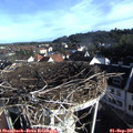 08_10-nest.jpg