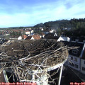08_15-nest.jpg