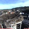 08_20-nest.jpg