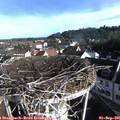 08_25-nest.jpg