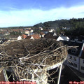 08_30-nest.jpg