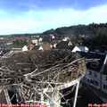 08_35-nest.jpg
