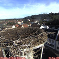 08_40-nest.jpg