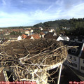 08_45-nest.jpg