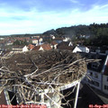 08_55-nest.jpg
