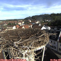 09_00-nest.jpg