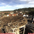 09_10-nest.jpg
