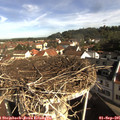 09_15-nest.jpg