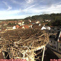 09_20-nest.jpg