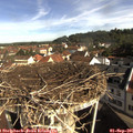 09_25-nest.jpg