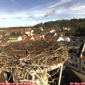 09_35-nest.jpg