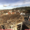 09_40-nest.jpg