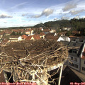 09_45-nest.jpg