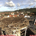 09_55-nest.jpg