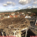 10_05-nest.jpg