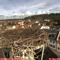 10_25-nest.jpg